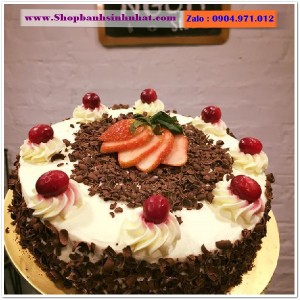 Bánh Sinh Nhật Tiramisu - T114